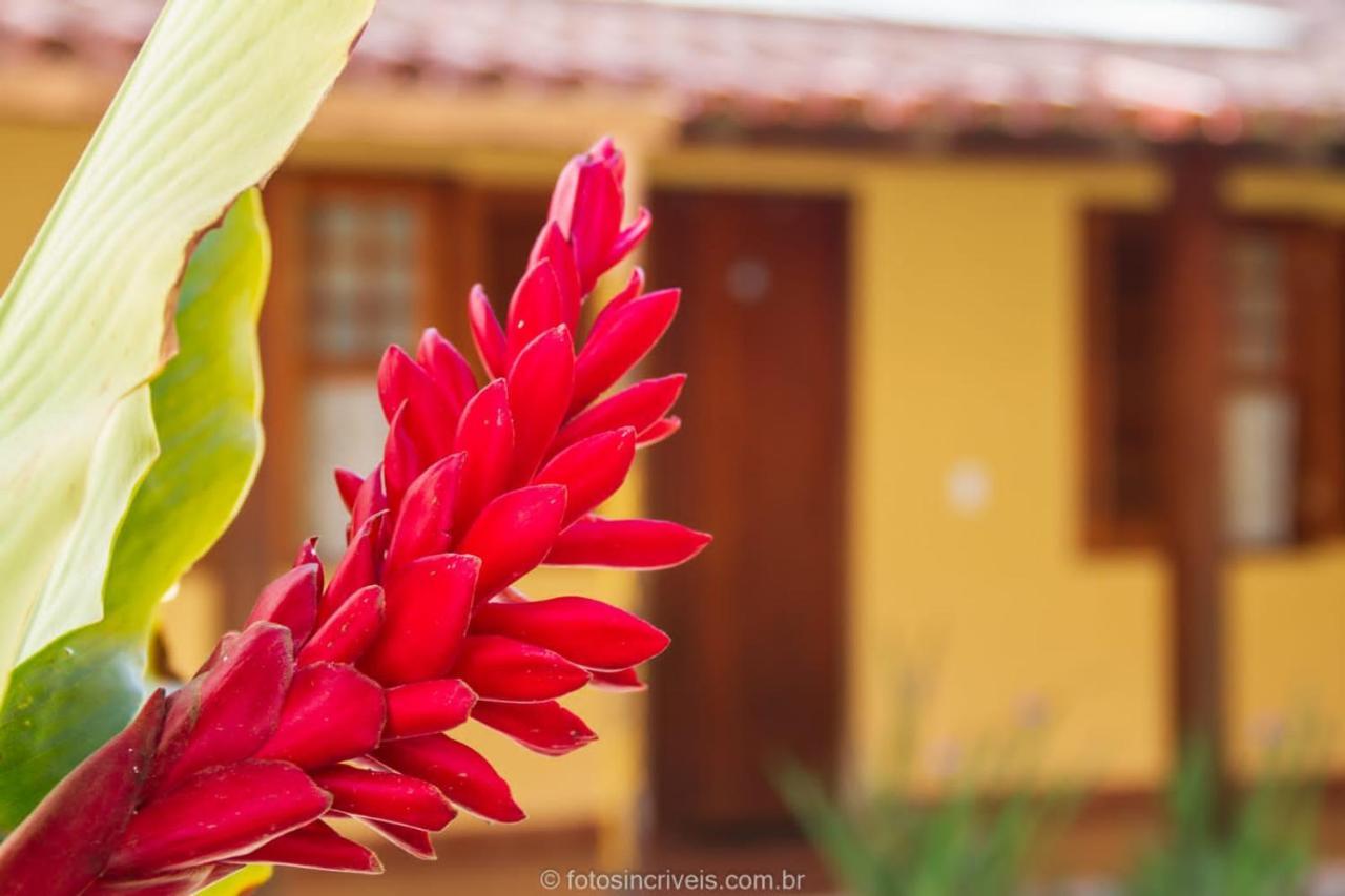 Pousada Natureza Divina Araquari Exteriér fotografie